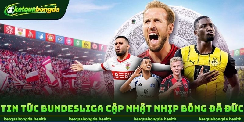 Tin tức Bundesliga cập nhật nhịp bóng đá Đức